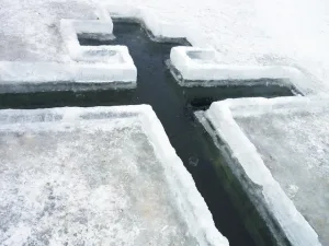 ополонка